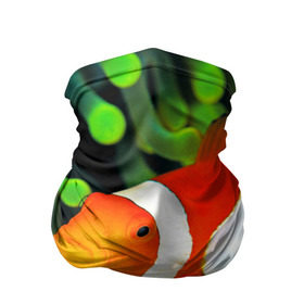 Бандана-труба 3D с принтом Рыба клоун в Новосибирске, 100% полиэстер, ткань с особыми свойствами — Activecool | плотность 150‒180 г/м2; хорошо тянется, но сохраняет форму | клоун | коралл | немо | океан | цветная