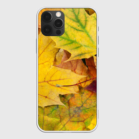 Чехол для iPhone 12 Pro Max с принтом Осенние листья в Новосибирске, Силикон |  | жёлтый | зелёный | клён | листва