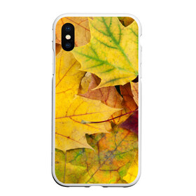 Чехол для iPhone XS Max матовый с принтом Осенние листья в Новосибирске, Силикон | Область печати: задняя сторона чехла, без боковых панелей | жёлтый | зелёный | клён | листва