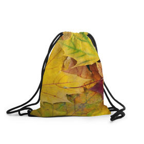 Рюкзак-мешок 3D с принтом Осенние листья в Новосибирске, 100% полиэстер | плотность ткани — 200 г/м2, размер — 35 х 45 см; лямки — толстые шнурки, застежка на шнуровке, без карманов и подкладки | жёлтый | зелёный | клён | листва