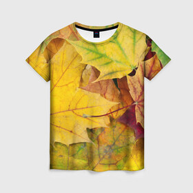Женская футболка 3D с принтом Осенние листья в Новосибирске, 100% полиэфир ( синтетическое хлопкоподобное полотно) | прямой крой, круглый вырез горловины, длина до линии бедер | жёлтый | зелёный | клён | листва