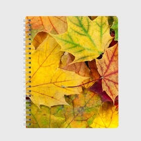 Тетрадь с принтом Осенние листья в Новосибирске, 100% бумага | 48 листов, плотность листов — 60 г/м2, плотность картонной обложки — 250 г/м2. Листы скреплены сбоку удобной пружинной спиралью. Уголки страниц и обложки скругленные. Цвет линий — светло-серый
 | жёлтый | зелёный | клён | листва