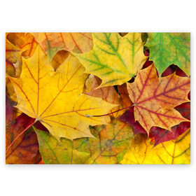 Поздравительная открытка с принтом Осенние листья в Новосибирске, 100% бумага | плотность бумаги 280 г/м2, матовая, на обратной стороне линовка и место для марки
 | жёлтый | зелёный | клён | листва