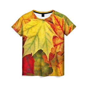 Женская футболка 3D с принтом Кленовые листья в Новосибирске, 100% полиэфир ( синтетическое хлопкоподобное полотно) | прямой крой, круглый вырез горловины, длина до линии бедер | жёлтый | зелёный | красный | листва | оранжевый | осень