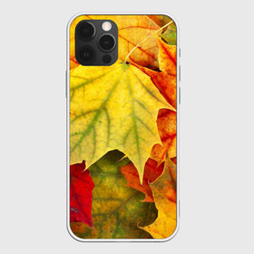 Чехол для iPhone 12 Pro Max с принтом Кленовые листья в Новосибирске, Силикон |  | жёлтый | зелёный | красный | листва | оранжевый | осень