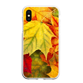 Чехол для iPhone XS Max матовый с принтом Кленовые листья в Новосибирске, Силикон | Область печати: задняя сторона чехла, без боковых панелей | жёлтый | зелёный | красный | листва | оранжевый | осень