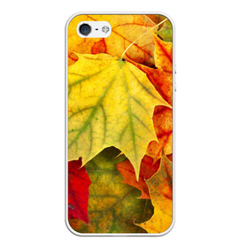 Чехол для iPhone 5/5S матовый с принтом Кленовые листья в Новосибирске, Силикон | Область печати: задняя сторона чехла, без боковых панелей | жёлтый | зелёный | красный | листва | оранжевый | осень