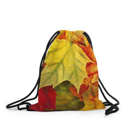 Рюкзак-мешок 3D с принтом Кленовые листья в Новосибирске, 100% полиэстер | плотность ткани — 200 г/м2, размер — 35 х 45 см; лямки — толстые шнурки, застежка на шнуровке, без карманов и подкладки | жёлтый | зелёный | красный | листва | оранжевый | осень