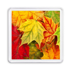 Магнит 55*55 с принтом Кленовые листья в Новосибирске, Пластик | Размер: 65*65 мм; Размер печати: 55*55 мм | жёлтый | зелёный | красный | листва | оранжевый | осень