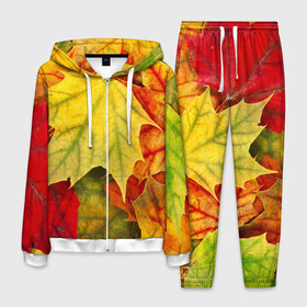 Мужской костюм 3D с принтом Кленовые листья в Новосибирске, 100% полиэстер | Манжеты и пояс оформлены тканевой резинкой, двухслойный капюшон со шнурком для регулировки, карманы спереди | жёлтый | зелёный | красный | листва | оранжевый | осень