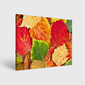 Холст прямоугольный с принтом Осень в Новосибирске, 100% ПВХ |  | берёза | дары осени | жёлтый | зелёный | золотой | краски | красный | красота | листва | листья | наряд | оранжевый | осень | осина | покров | природа