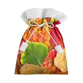 Подарочный 3D мешок с принтом Осень в Новосибирске, 100% полиэстер | Размер: 29*39 см | берёза | дары осени | жёлтый | зелёный | золотой | краски | красный | красота | листва | листья | наряд | оранжевый | осень | осина | покров | природа
