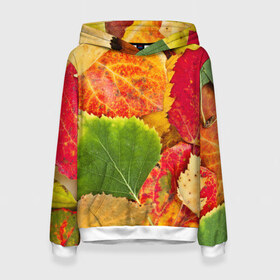 Женская толстовка 3D с принтом Осень в Новосибирске, 100% полиэстер  | двухслойный капюшон со шнурком для регулировки, мягкие манжеты на рукавах и по низу толстовки, спереди карман-кенгуру с мягким внутренним слоем. | берёза | дары осени | жёлтый | зелёный | золотой | краски | красный | красота | листва | листья | наряд | оранжевый | осень | осина | покров | природа