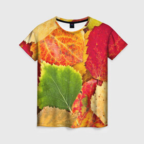 Женская футболка 3D с принтом Осень в Новосибирске, 100% полиэфир ( синтетическое хлопкоподобное полотно) | прямой крой, круглый вырез горловины, длина до линии бедер | берёза | дары осени | жёлтый | зелёный | золотой | краски | красный | красота | листва | листья | наряд | оранжевый | осень | осина | покров | природа