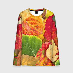 Мужской лонгслив 3D с принтом Осень в Новосибирске, 100% полиэстер | длинные рукава, круглый вырез горловины, полуприлегающий силуэт | берёза | дары осени | жёлтый | зелёный | золотой | краски | красный | красота | листва | листья | наряд | оранжевый | осень | осина | покров | природа