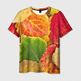 Мужская футболка 3D с принтом Осень в Новосибирске, 100% полиэфир | прямой крой, круглый вырез горловины, длина до линии бедер | Тематика изображения на принте: берёза | дары осени | жёлтый | зелёный | золотой | краски | красный | красота | листва | листья | наряд | оранжевый | осень | осина | покров | природа