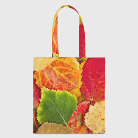 Сумка 3D повседневная с принтом Осень в Новосибирске, 100% полиэстер | Плотность: 200 г/м2; Размер: 34×35 см; Высота лямок: 30 см | берёза | дары осени | жёлтый | зелёный | золотой | краски | красный | красота | листва | листья | наряд | оранжевый | осень | осина | покров | природа