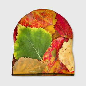 Шапка 3D с принтом Осень в Новосибирске, 100% полиэстер | универсальный размер, печать по всей поверхности изделия | берёза | дары осени | жёлтый | зелёный | золотой | краски | красный | красота | листва | листья | наряд | оранжевый | осень | осина | покров | природа