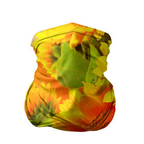 Бандана-труба 3D с принтом Подсолнух в Новосибирске, 100% полиэстер, ткань с особыми свойствами — Activecool | плотность 150‒180 г/м2; хорошо тянется, но сохраняет форму | желтая | подсолнух | поле | природа | цветы
