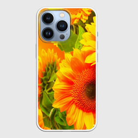 Чехол для iPhone 13 Pro с принтом Подсолнух в Новосибирске,  |  | желтая | подсолнух | поле | природа | цветы