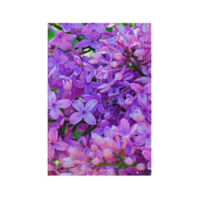 Обложка для паспорта матовая кожа с принтом Сирень в Новосибирске, натуральная матовая кожа | размер 19,3 х 13,7 см; прозрачные пластиковые крепления | Тематика изображения на принте: весна | красота | сирень | цветы
