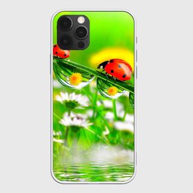 Чехол для iPhone 12 Pro Max с принтом Макро в Новосибирске, Силикон |  | Тематика изображения на принте: божья коровка | насекомые | одуванчик | природа | цветы