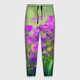 Мужские брюки 3D с принтом Цветы в Новосибирске, 100% полиэстер | манжеты по низу, эластичный пояс регулируется шнурком, по бокам два кармана без застежек, внутренняя часть кармана из мелкой сетки | красота | лето | поле | цветок
