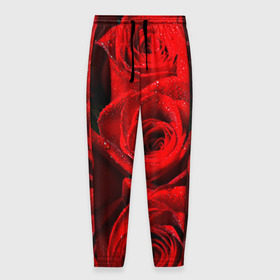 Мужские брюки 3D с принтом Розы в Новосибирске, 100% полиэстер | манжеты по низу, эластичный пояс регулируется шнурком, по бокам два кармана без застежек, внутренняя часть кармана из мелкой сетки | красная | роза | роса | цветок