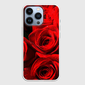 Чехол для iPhone 13 Pro с принтом Розы в Новосибирске,  |  | красная | роза | роса | цветок