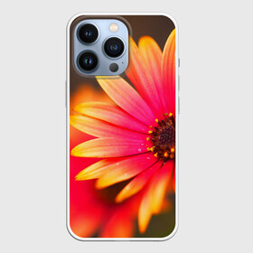 Чехол для iPhone 13 Pro с принтом Цветы в Новосибирске,  |  | 3д | красивая | природа | цветок
