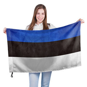 Флаг 3D с принтом Эстония в Новосибирске, 100% полиэстер | плотность ткани — 95 г/м2, размер — 67 х 109 см. Принт наносится с одной стороны | страна | эстония | эстонская республика