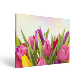 Холст прямоугольный с принтом Тюльпаны в Новосибирске, 100% ПВХ |  | Тематика изображения на принте: 8 марта | аромат | букет | вазон | великолепие | дача | девушки | женщины | краски | красота | куст | лужайка | милые цветы | огород | палитра | прелесть | радуга | растение | тюльпаны