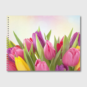 Альбом для рисования с принтом Тюльпаны в Новосибирске, 100% бумага
 | матовая бумага, плотность 200 мг. | Тематика изображения на принте: 8 марта | аромат | букет | вазон | великолепие | дача | девушки | женщины | краски | красота | куст | лужайка | милые цветы | огород | палитра | прелесть | радуга | растение | тюльпаны