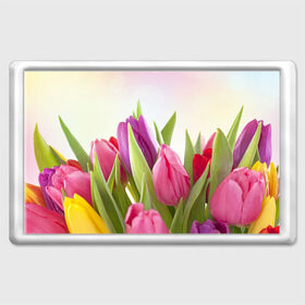 Магнит 45*70 с принтом Тюльпаны в Новосибирске, Пластик | Размер: 78*52 мм; Размер печати: 70*45 | Тематика изображения на принте: 8 марта | аромат | букет | вазон | великолепие | дача | девушки | женщины | краски | красота | куст | лужайка | милые цветы | огород | палитра | прелесть | радуга | растение | тюльпаны