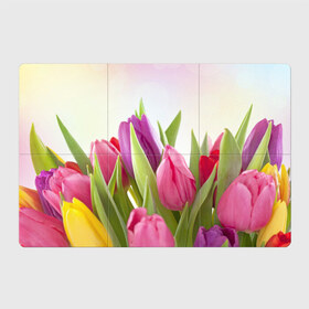 Магнитный плакат 3Х2 с принтом Тюльпаны в Новосибирске, Полимерный материал с магнитным слоем | 6 деталей размером 9*9 см | Тематика изображения на принте: 8 марта | аромат | букет | вазон | великолепие | дача | девушки | женщины | краски | красота | куст | лужайка | милые цветы | огород | палитра | прелесть | радуга | растение | тюльпаны