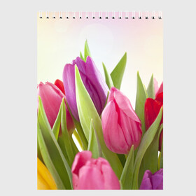 Скетчбук с принтом Тюльпаны в Новосибирске, 100% бумага
 | 48 листов, плотность листов — 100 г/м2, плотность картонной обложки — 250 г/м2. Листы скреплены сверху удобной пружинной спиралью | Тематика изображения на принте: 8 марта | аромат | букет | вазон | великолепие | дача | девушки | женщины | краски | красота | куст | лужайка | милые цветы | огород | палитра | прелесть | радуга | растение | тюльпаны