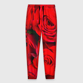 Мужские брюки 3D с принтом Розы в Новосибирске, 100% полиэстер | манжеты по низу, эластичный пояс регулируется шнурком, по бокам два кармана без застежек, внутренняя часть кармана из мелкой сетки | букет | красная | лепестки | роза | цветы