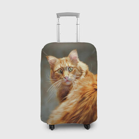 Чехол для чемодана 3D с принтом Рыжий в Новосибирске, 86% полиэфир, 14% спандекс | двустороннее нанесение принта, прорези для ручек и колес | cat | кот | кошка | рыжий