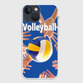 Чехол для iPhone 13 mini с принтом Волейбол 24 в Новосибирске,  |  | volleyball | волейбол