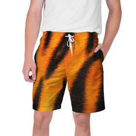 Мужские шорты 3D с принтом Шкура тигра в Новосибирске,  полиэстер 100% | прямой крой, два кармана без застежек по бокам. Мягкая трикотажная резинка на поясе, внутри которой широкие завязки. Длина чуть выше колен | кошка | полосатая | текстуры | тигр
