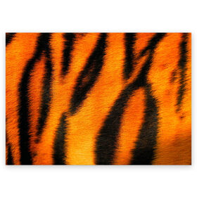 Поздравительная открытка с принтом Шкура тигра в Новосибирске, 100% бумага | плотность бумаги 280 г/м2, матовая, на обратной стороне линовка и место для марки
 | кошка | полосатая | текстуры | тигр