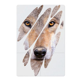 Магнитный плакат 2Х3 с принтом Волчий лик в Новосибирске, Полимерный материал с магнитным слоем | 6 деталей размером 9*9 см | wolf | взгляд | волк | волчара | вырез | добыча | жертва | животное | зверь | лик | опасность | охотник | санитар леса | серый | след | хищник