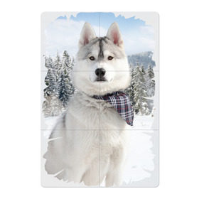 Магнитный плакат 2Х3 с принтом Волк в зимнем лесу в Новосибирске, Полимерный материал с магнитным слоем | 6 деталей размером 9*9 см | Тематика изображения на принте: серый | хаски