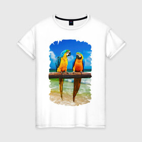 Женская футболка хлопок с принтом Попугаи в Новосибирске, 100% хлопок | прямой крой, круглый вырез горловины, длина до линии бедер, слегка спущенное плечо | джунгли | клюв | острова | перья | попугай | птица | тропики | экзотика