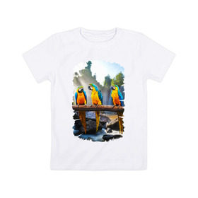 Детская футболка хлопок с принтом Попугаи на ветке в Новосибирске, 100% хлопок | круглый вырез горловины, полуприлегающий силуэт, длина до линии бедер | Тематика изображения на принте: джунгли | клюв | острова | перья | попугай | птица | тропики | экзотика
