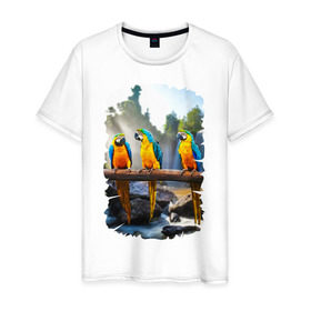Мужская футболка хлопок с принтом Попугаи на ветке в Новосибирске, 100% хлопок | прямой крой, круглый вырез горловины, длина до линии бедер, слегка спущенное плечо. | джунгли | клюв | острова | перья | попугай | птица | тропики | экзотика