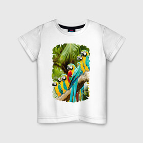 Детская футболка хлопок с принтом Экзотические попугаи в Новосибирске, 100% хлопок | круглый вырез горловины, полуприлегающий силуэт, длина до линии бедер | джунгли | клюв | острова | перья | попугай | птица | тропики | экзотика
