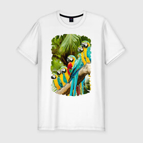 Мужская футболка премиум с принтом Экзотические попугаи в Новосибирске, 92% хлопок, 8% лайкра | приталенный силуэт, круглый вырез ворота, длина до линии бедра, короткий рукав | джунгли | клюв | острова | перья | попугай | птица | тропики | экзотика
