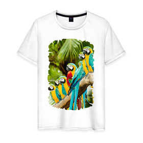 Мужская футболка хлопок с принтом Экзотические попугаи в Новосибирске, 100% хлопок | прямой крой, круглый вырез горловины, длина до линии бедер, слегка спущенное плечо. | джунгли | клюв | острова | перья | попугай | птица | тропики | экзотика