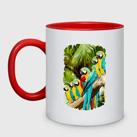 Кружка двухцветная с принтом Экзотические попугаи в Новосибирске, керамика | объем — 330 мл, диаметр — 80 мм. Цветная ручка и кайма сверху, в некоторых цветах — вся внутренняя часть | джунгли | клюв | острова | перья | попугай | птица | тропики | экзотика